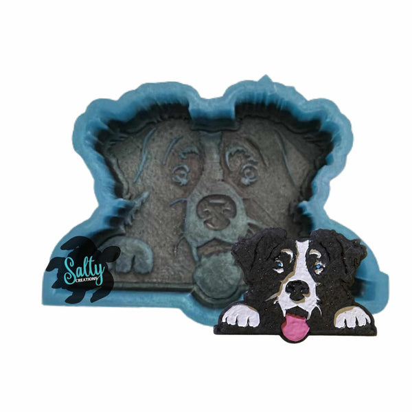 Border Collie - Silicone Mold