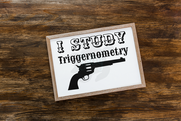 I Study Triggernometry - Decal