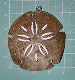 Sand Dollar - Silicone Mold