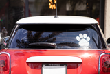 Paw - Decal